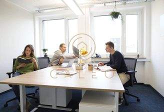 privates Büro Beispiel 1