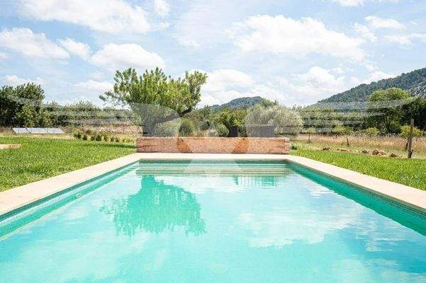 Garten mit Swimmingpool