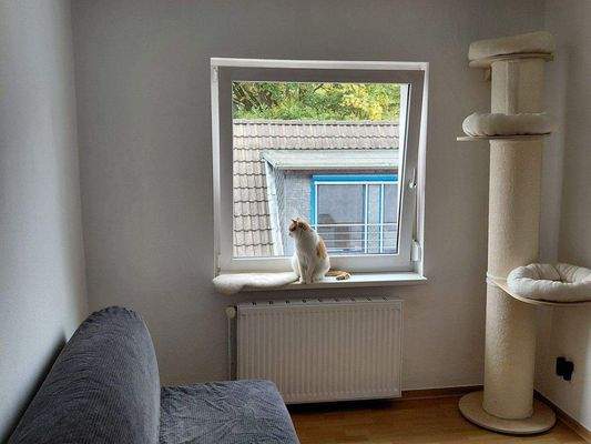 DH: Zimmer 3-ZWG.jpg