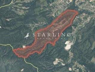 Donja Moticina Bauernhöfe, Landwirtschaft, Donja Moticina Forstwirtschaft