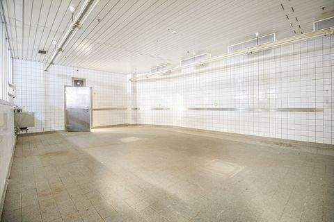 Heilbronn Halle, Heilbronn Hallenfläche