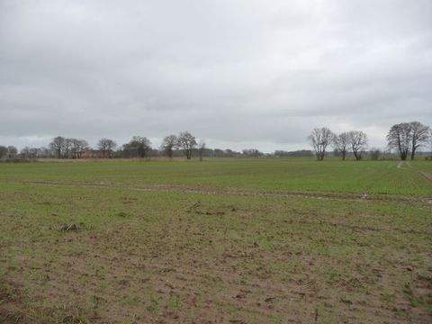 Badbergen Bauernhöfe, Landwirtschaft, Badbergen Forstwirtschaft