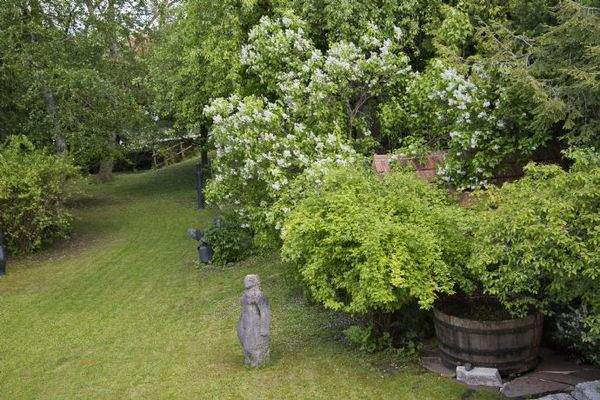 Blick Garten v. 1.OG