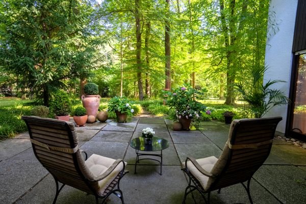 NÖRDLICHE TERRASSE UND BLICK IN DEN PARK