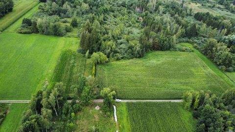 Mietingen Bauernhöfe, Landwirtschaft, Mietingen Forstwirtschaft