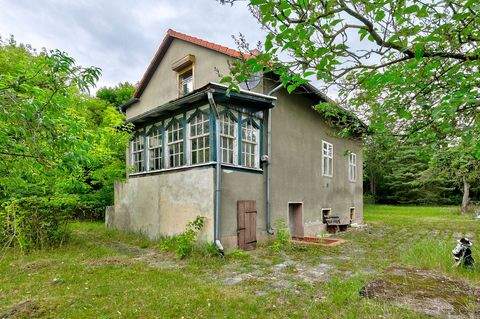 Kremmen OT Sommerfeld Häuser, Kremmen OT Sommerfeld Haus kaufen