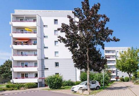 Magdeburg Wohnungen, Magdeburg Wohnung mieten