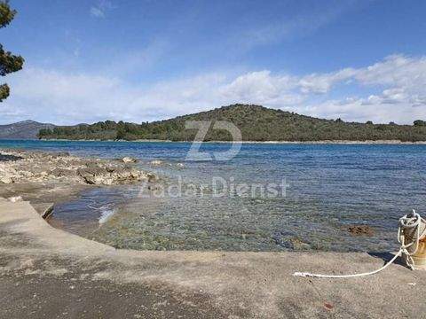 Iz - Rava Bauernhöfe, Landwirtschaft, Iz - Rava Forstwirtschaft