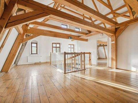 Neustadt Halle, Neustadt Hallenfläche