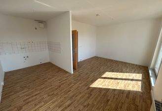 Wohnzimmer mit offener Küche