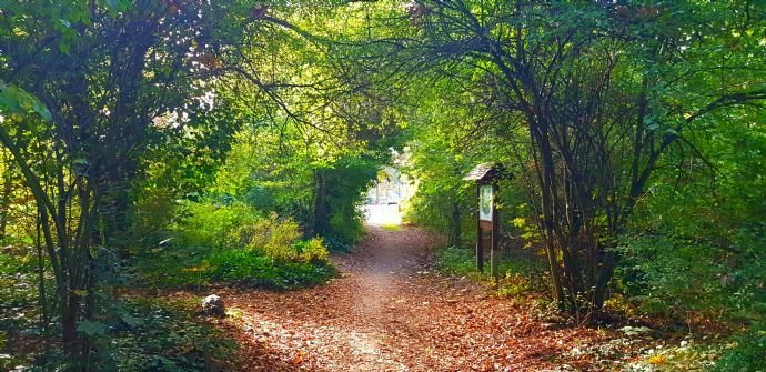 ATTRAKTIVES WOHNBAUGRUNDSTÜCK + DIREKT AM WILDGARTEN IN WILDAU + IM A.