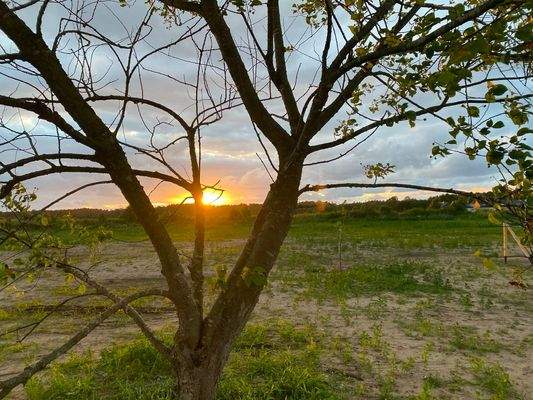 Sonnenuntergang am Grundstück