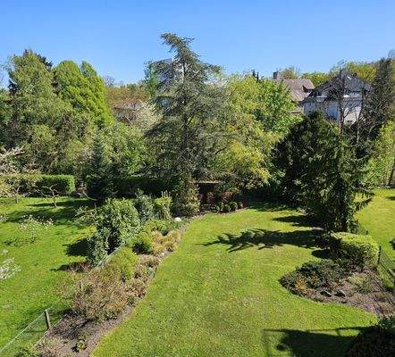 Blick in den Garten.jpg