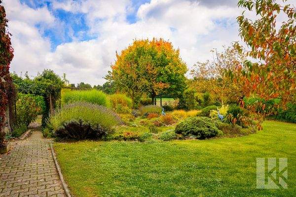 ...gewachsenem Pflanzenbestand