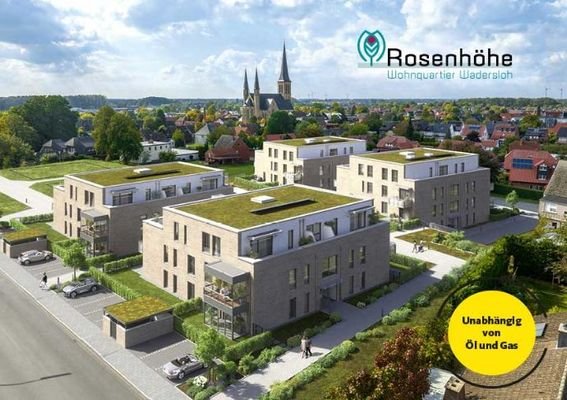 Zukunftsorientiertes Neubauprojekt Rosenhöhe