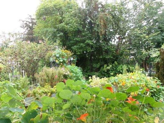 uneinsehbarer Garten