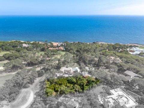 Cascais e Estoril Bauernhöfe, Landwirtschaft, Cascais e Estoril Forstwirtschaft