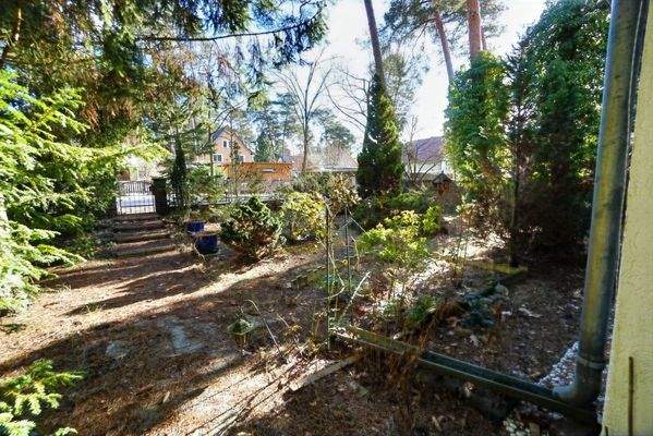 Vordere Teil des Grundstückes