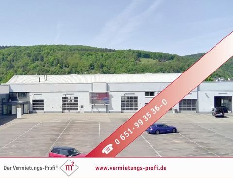 Trier / Euren Halle, Trier / Euren Hallenfläche