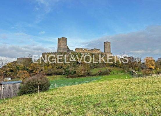 Die Münzenburg - Wahrzeichen der Wetterau