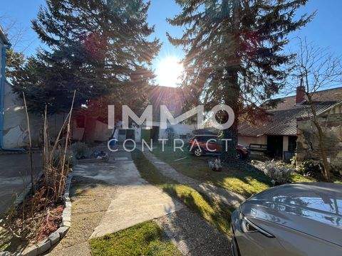 Drasenhofen Häuser, Drasenhofen Haus kaufen