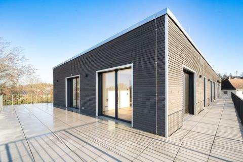 Langenbach Wohnungen, Langenbach Wohnung kaufen