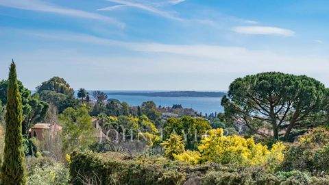 Cannes Häuser, Cannes Haus kaufen