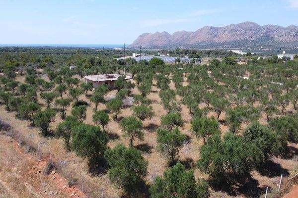 Kreta, Mouzouras: Flaches Grundstück mit Panoramablick zu verkaufen