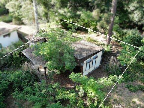 Berlin Grundstücke, Berlin Grundstück kaufen