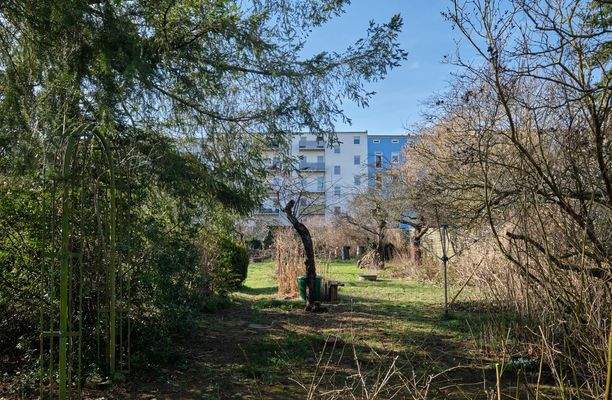 Blick in den großen Garten