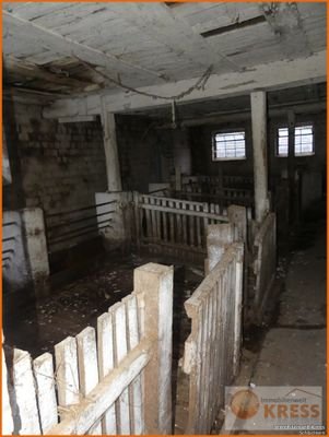 Bild 15