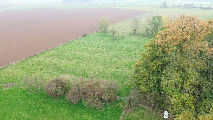 Grünland  zur Pacht