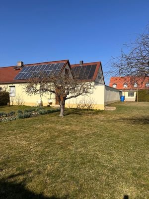 Blick aus dem Garten