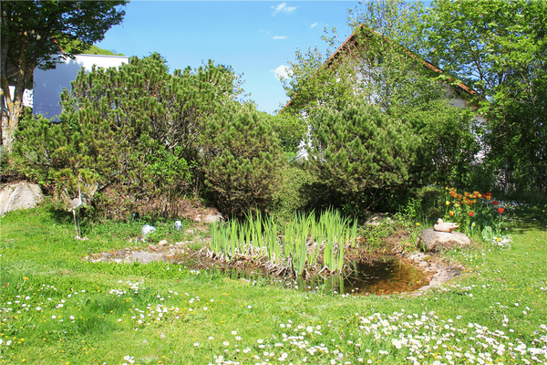 Gartenteich