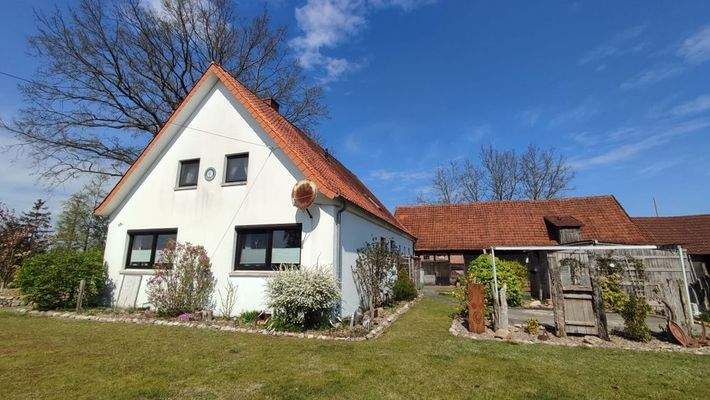 Rückansicht mit Garten