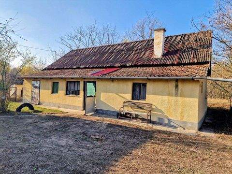 Pálmonostora Häuser, Pálmonostora Haus kaufen