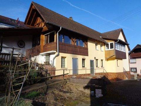 Freudenberg-Rauenberg Bauernhöfe, Landwirtschaft, Freudenberg-Rauenberg Forstwirtschaft