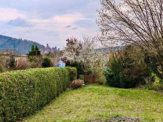 Ansicht Burg Wertheim