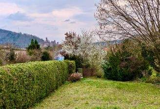 Ansicht Burg Wertheim