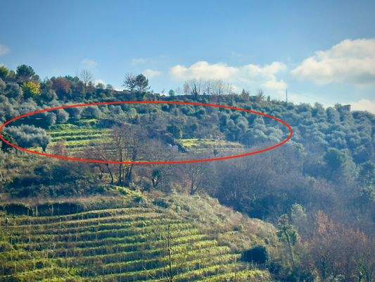 DA997_10_TERRA ITALIA IMMOBILIEN_REAL ESTATE_LAND_