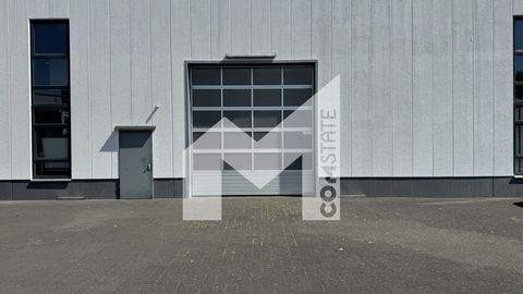 Köln Halle, Köln Hallenfläche