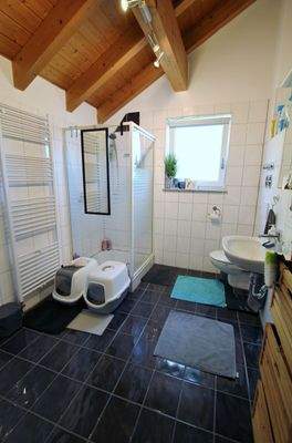 Helles  Tageslichtbad