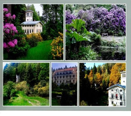Rhododendronpark mit Villa