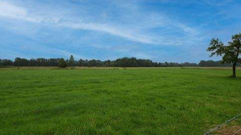 Hövelhof Bauernhöfe, Landwirtschaft, Hövelhof Forstwirtschaft