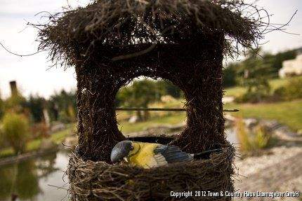 Nest für die ganze Familie.jpg