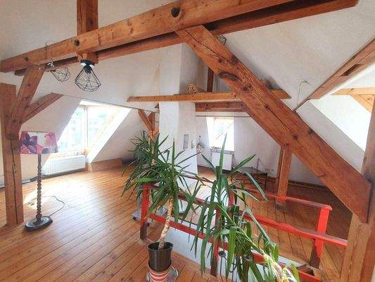 Dachstudio.jpg
