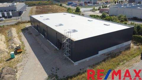 Paderborn Halle, Paderborn Hallenfläche