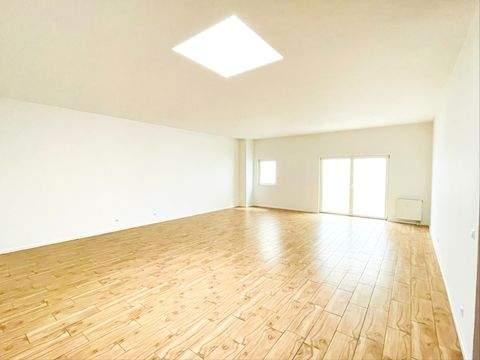 Potsdam Ladenlokale, Ladenflächen 