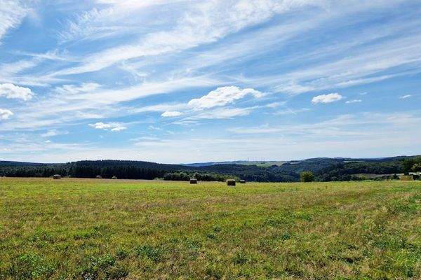 toller, unverbaubarer Ausblick