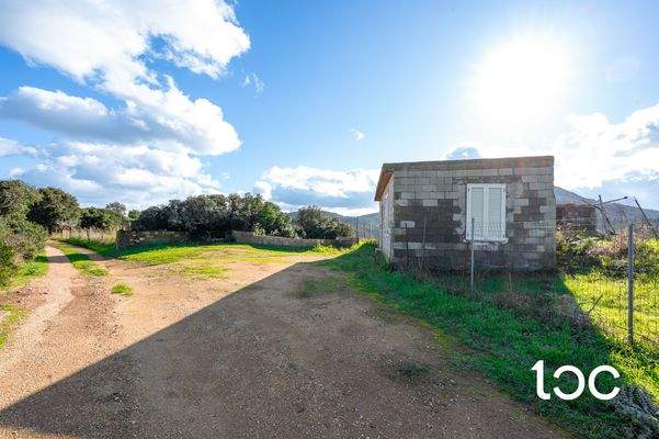 TERR. AGRICOLO-3.jpg